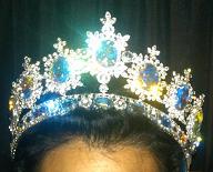 webassets/FoReAmbassadorCrown2012sm.JPG